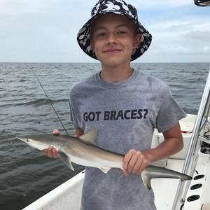 Meet your Posher, Elliott